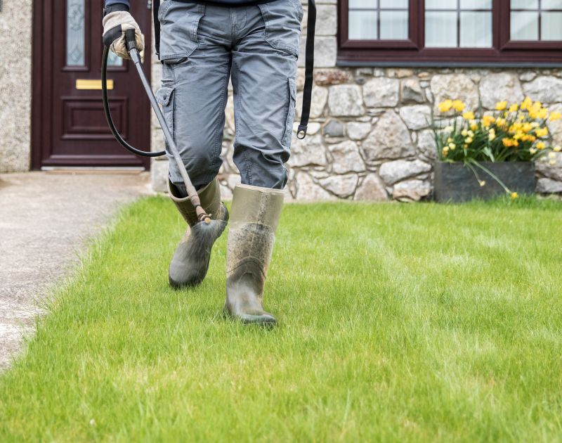 Rain Garden Installation Service