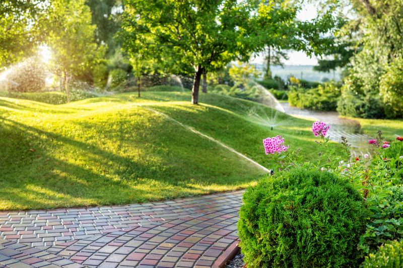Rain Garden Installation Service