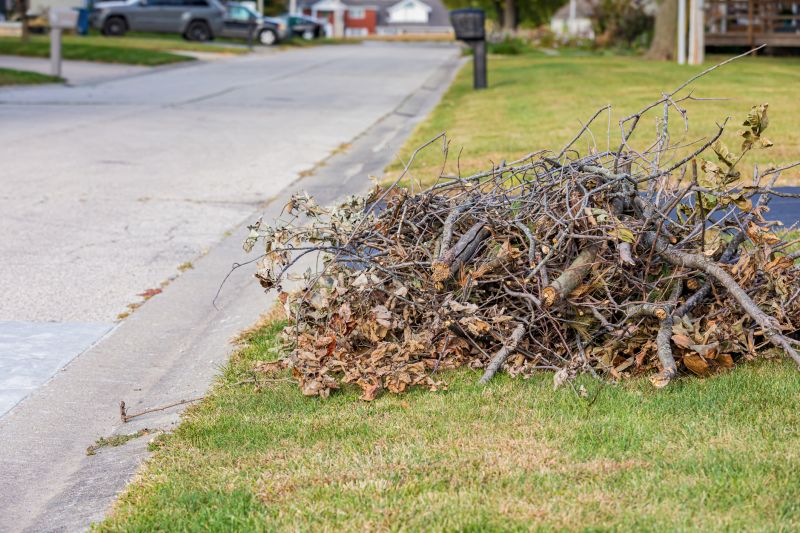 Leaf Clearing in a Residential Area