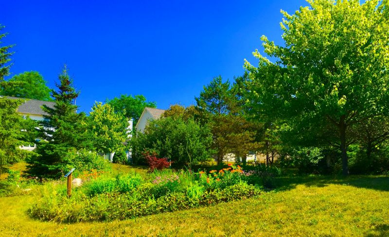 Rain Garden Installation Cost — Cost of Rain Garden Installation Service