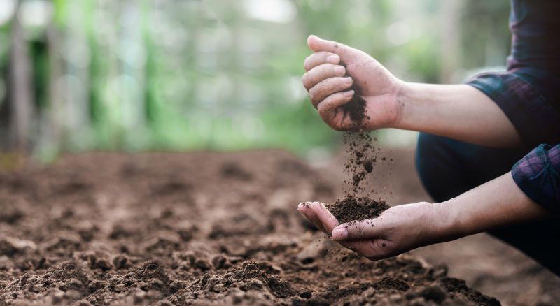 Rain Garden Installation Cost — Cost of Rain Garden Installation Service