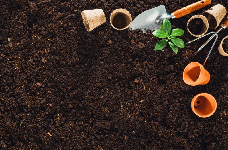 Rain Garden Installation Cost — Cost of Rain Garden Installation Service
