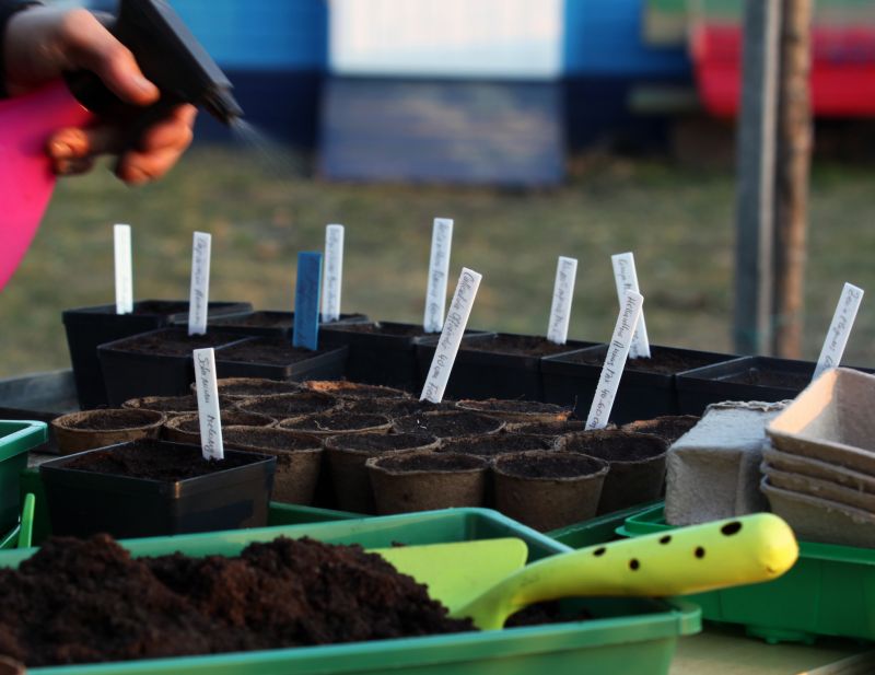 Rain Garden Installation Cost — Cost of Rain Garden Installation Service