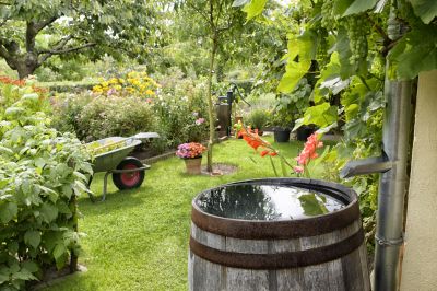 Reduce Erosion and Improve Water Quality!